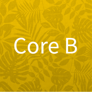 CORE B: 2025-206 (3 hrs, Hawaii)