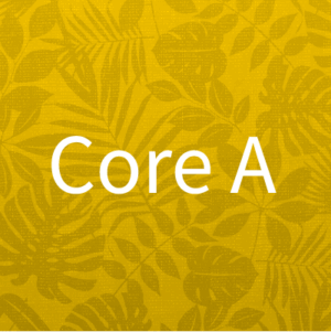 CORE A: Advertising, Agency, and Accountability – It’s Your Kuleana! (3 hrs, Hawaii)